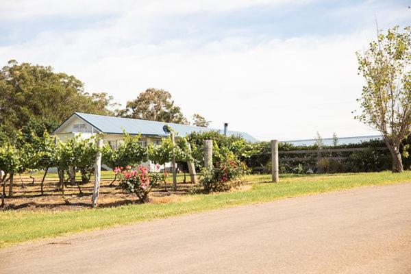 Audrey Wilkinson Vineyard Pensionat Pokolbin Exteriör bild