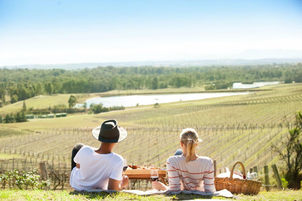 Audrey Wilkinson Vineyard Pensionat Pokolbin Exteriör bild